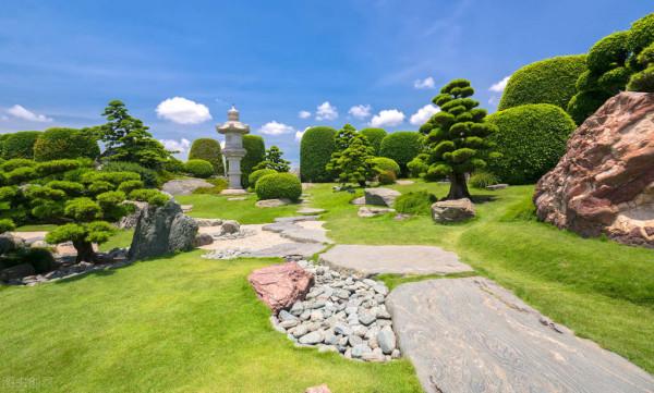 獨特的盆景之美 獨特的盆景之美