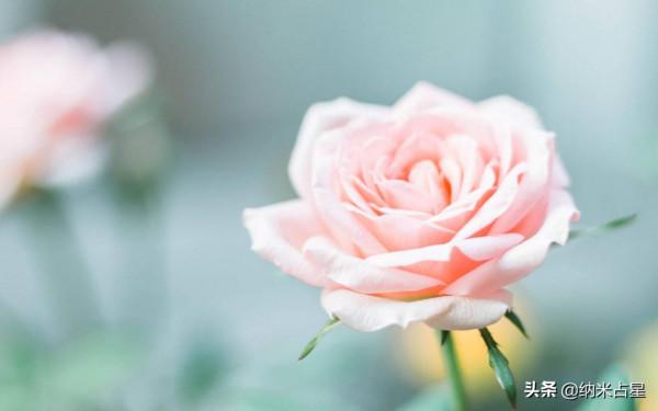 奈米一週星座運勢解讀(9.20～9.26)