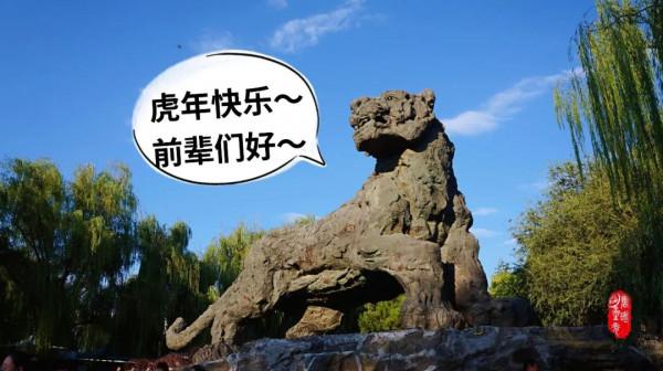 虎年看啥？文物中的虎元素來給您拜個年