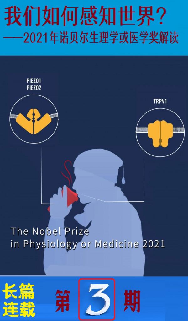 我們如何感知世界？——2021年諾貝爾生理學或醫學獎解讀（3）