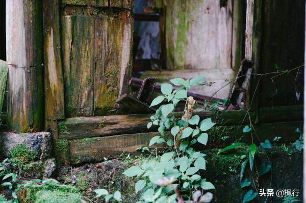 請收好這份陽朔攻略,你就不會被人套路了,2天時間盡享桂林山水 請收好這份陽朔攻略,你就不會被人套路了,2天時間盡享桂林山水