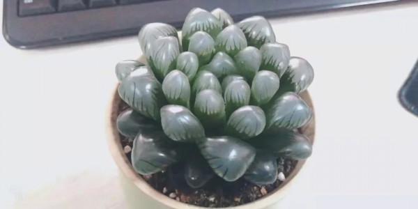 感謝遇見——在彼此的生命裡丰姿綻放