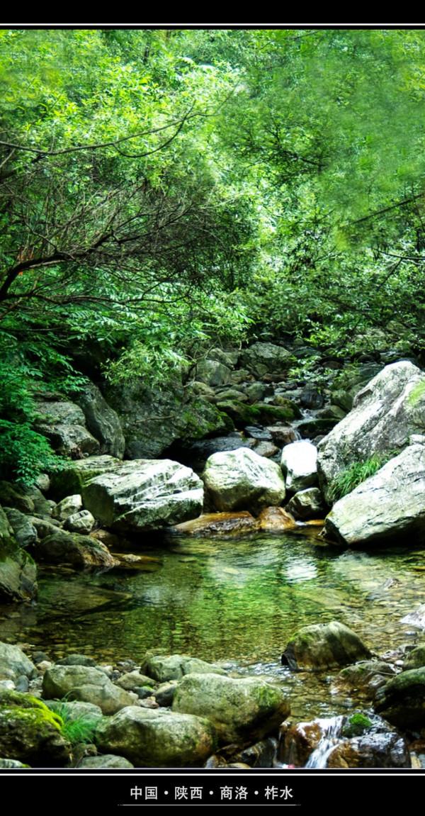 終南山牛背梁:靜謐的羚牛谷,溪、潭、瀑、橋可能並不是它的全部 終南山牛背梁:靜謐的羚牛谷,溪、潭、瀑、橋可能並不是它的全部