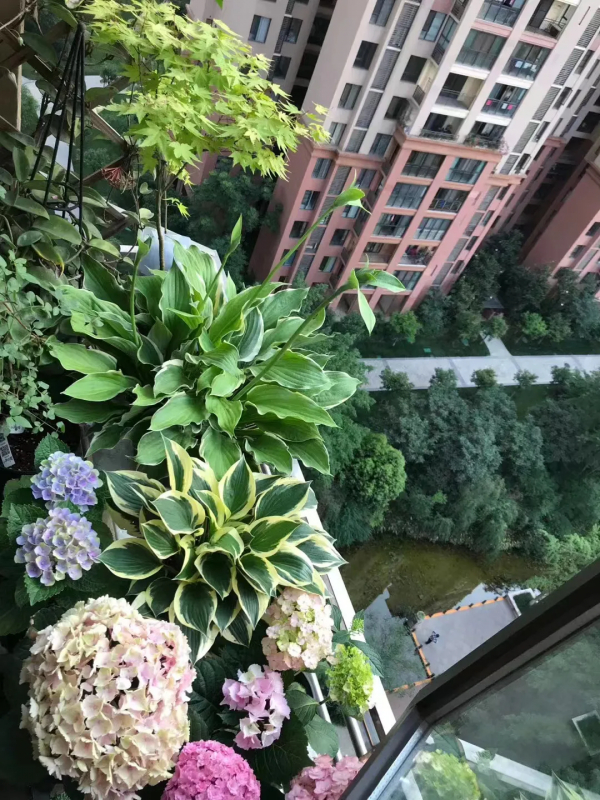 封閉陽臺也爆花!4個優秀案例,面積2.4m²-9m²,總有一個給你靈感 封閉陽臺也爆花!4個優秀案例,面積2.4m²-9m²,總有一個給你靈感