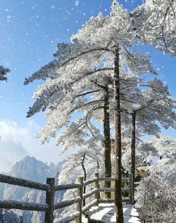 冬日的“童話小鎮” 冬日的“童話小鎮”