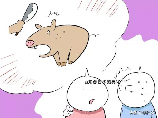 亮仔丨中國姑娘嫁去日本生活都遇到哪些趣事? 亮仔丨中國姑娘嫁去日本生活都遇到哪些趣事?