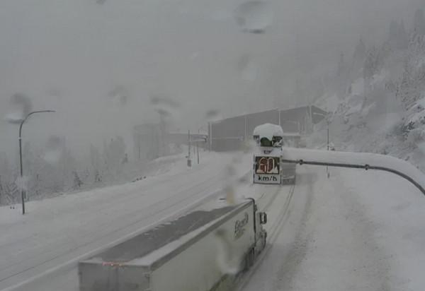 溫哥華市中心被淹!BC連發大雪警報 聖誕樹都沒了...... 溫哥華市中心被淹!BC連發大雪警報 聖誕樹都沒了......