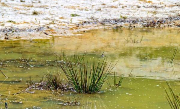 遙想八零後的童年生活(第十篇) 遙想八零後的童年生活(第十篇)
