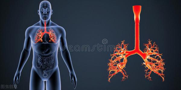 呼吸科有哪些疾病? 呼吸科有哪些疾病?