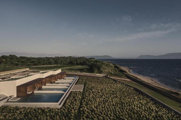 一個鬱鬱蔥蔥的迷迭香和薰衣草花園 一個鬱鬱蔥蔥的迷迭香和薰衣草花園