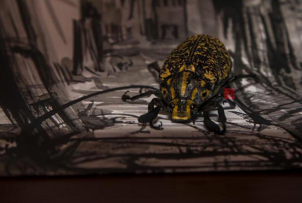 民間文化：“蠱”是什麼？讀完漲知識了