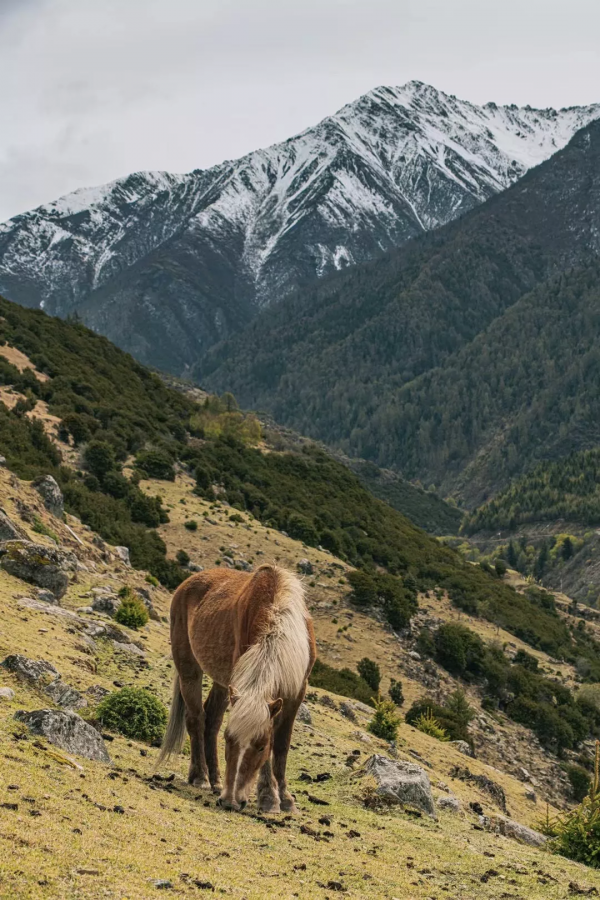 海外風光還原度超高的國內“平替”
