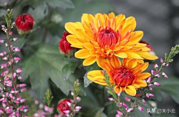 有一種幸運叫:認識你真好 有一種幸運叫:認識你真好