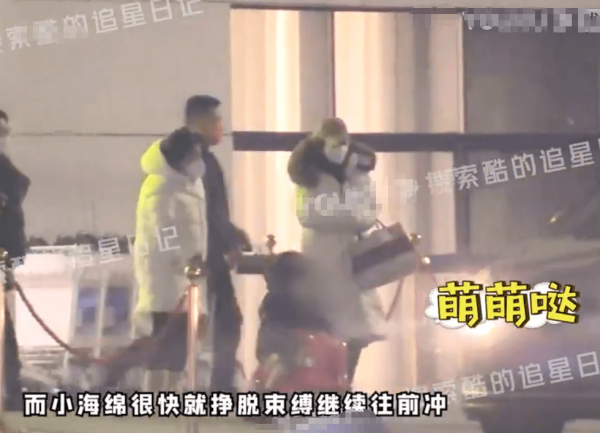 Angelababy工作不忘帶娃 小海綿一路蹦跳超可愛