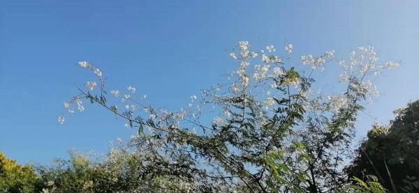 雲彩下的山城系列（四）