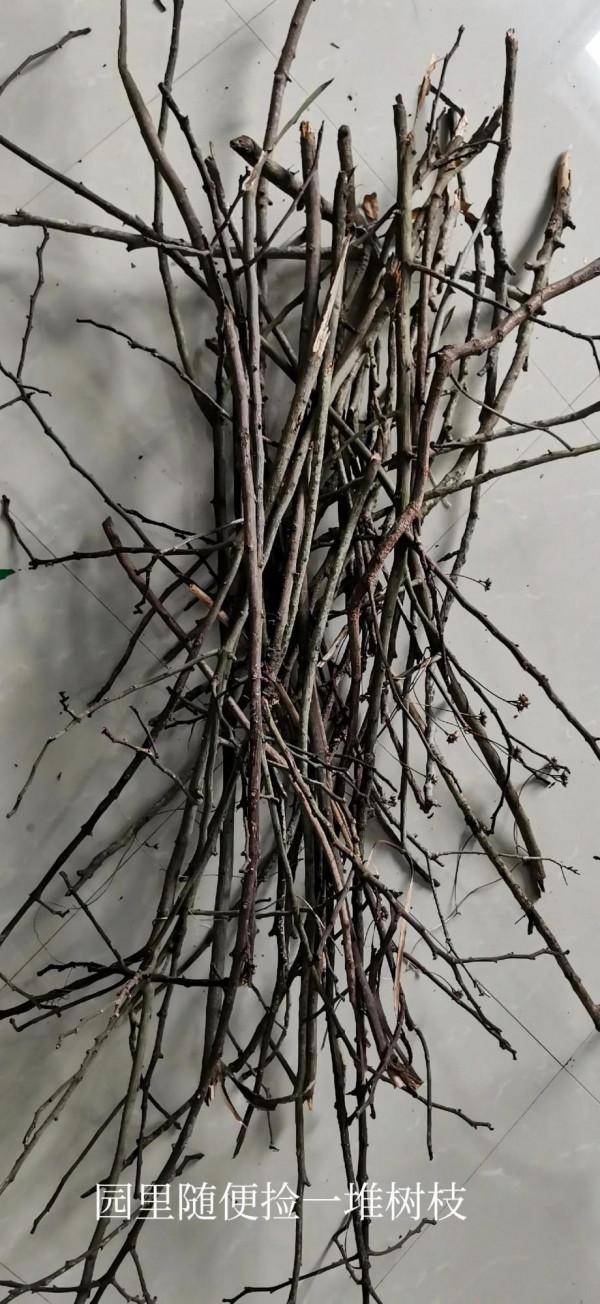 變廢為寶—樹枝變吊飾