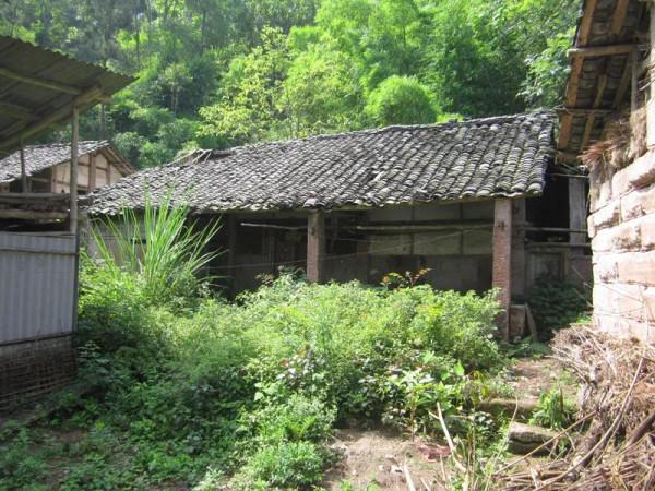 他是首位在文章裡使用“她”字的詩人，康白情的那些故事