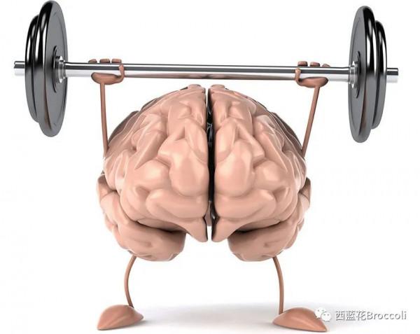 判斷：在肱二頭肌彎舉中，有意識地擠壓肌肉能夠提高肌肉體積嗎？