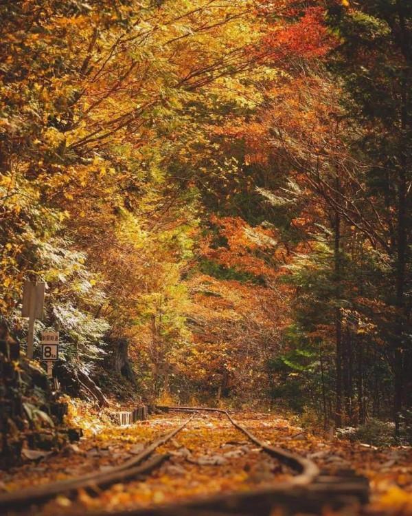 領略風景如畫的日本風光