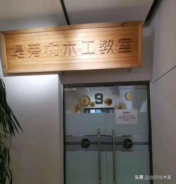 木工、茶修、插花、漢字文化體驗……國風少年成長記 木工、茶修、插花、漢字文化體驗……國風少年成長記