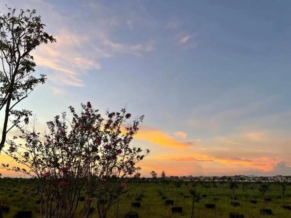 讓石頭充滿藝術氣息