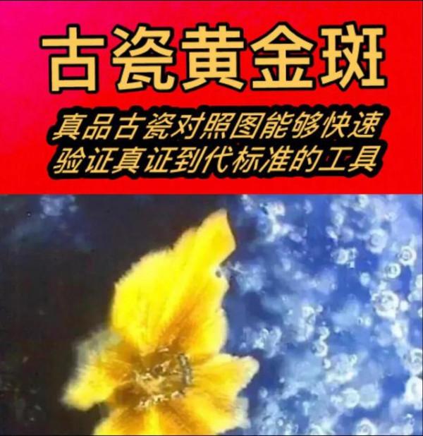 好多文物經營者自耍聰明自掘墳墓 好多文物經營者自耍聰明自掘墳墓