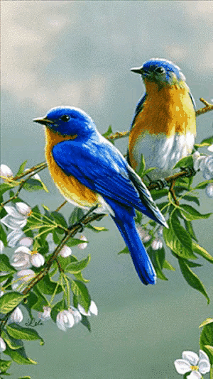 今天分享多種動物‘幼崽’圖片供給大家觀賞 今天分享多種動物‘幼崽’圖片供給大家觀賞