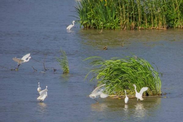 江蘇十大冷門景點，人少景美好玩