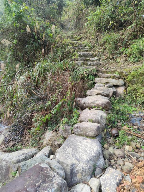 行走大瑤山