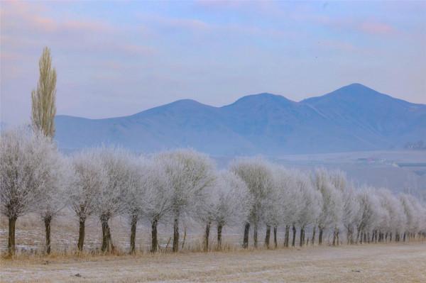 新疆冬景，一半柔情，一半狂野