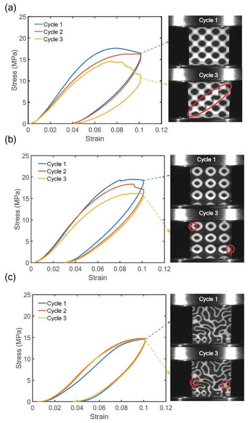 加利福尼亞大學：具有旋節拓撲結構的3D列印複合材料