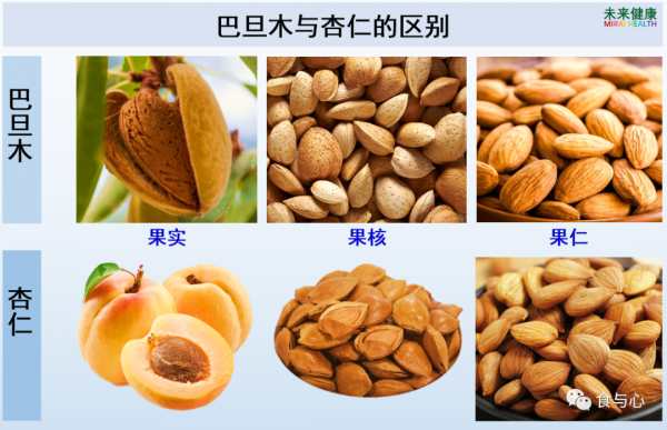 一週健康晚餐106：&OpenCurlyDoubleQuote;大杏仁&rdquo;的12項健康益處和5個食用注意事項