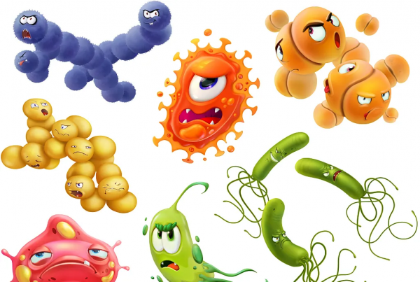 食物亂放冰箱裡，當心中毒