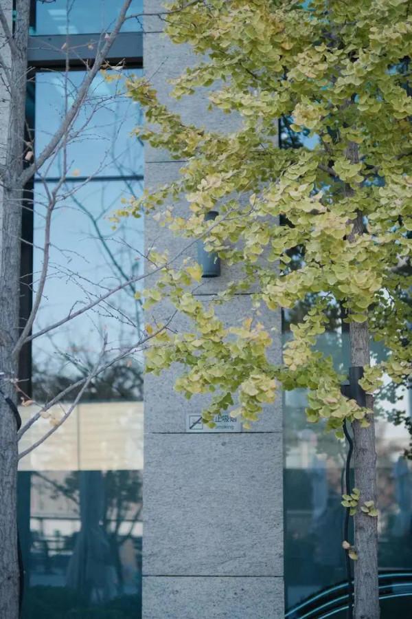 惜命首要的不是養生、運動