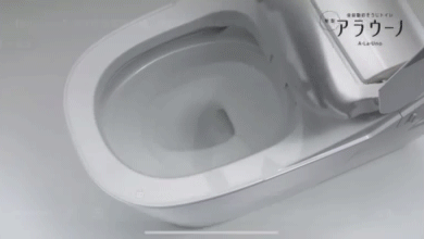 廣東發現一戶人家衛生間，進去就被迷住，太先進了！整潔又美觀