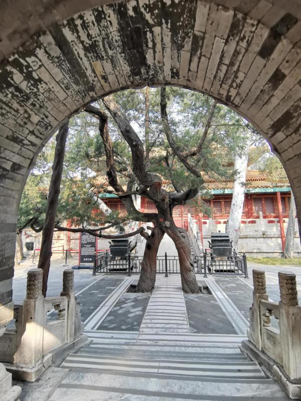 走馬觀花遊故宮(2) 走馬觀花遊故宮(2)