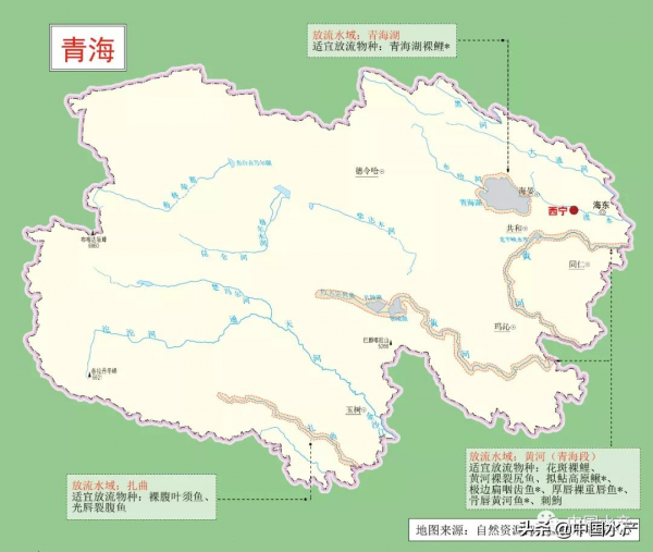 科學放流指南 &vert;（五）增殖放流水域在哪裡？放流物種怎麼選？