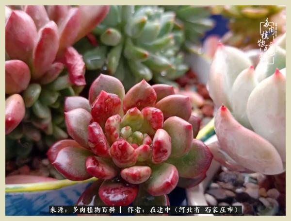 落葉知秋,願你安好 落葉知秋,願你安好