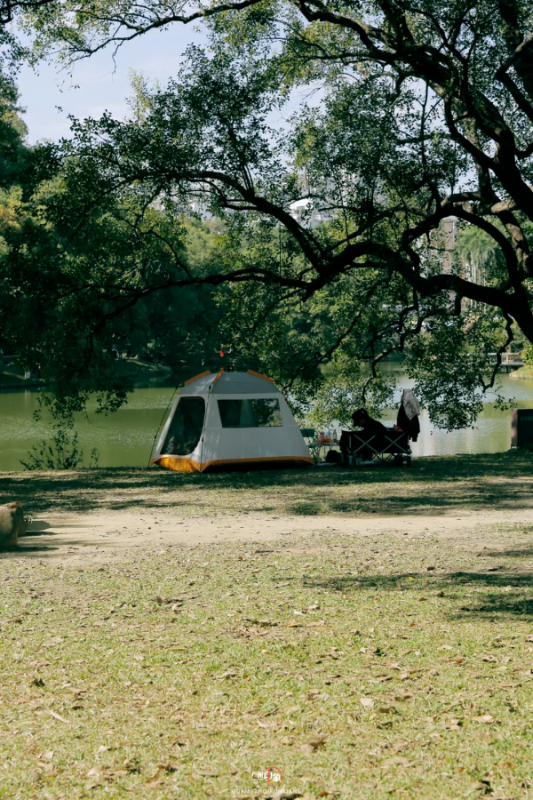 抓住秋天的影子，至少要去一次「華南植物園」