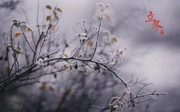 立冬養生：重在“藏”，飲食宜避寒就溫，不妨多吃4物