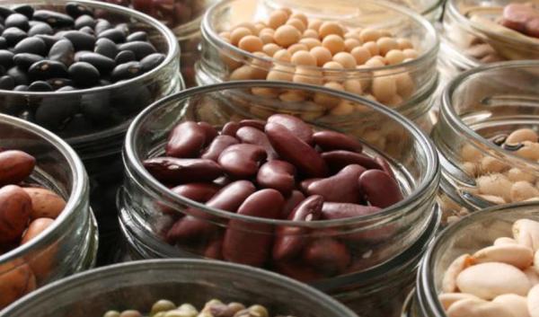 “轉骨趁秋天”，秋天孩子吃什麼長高快，家長不用動腦跟著吃