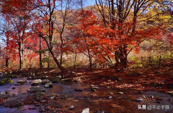 金秋旅遊旺季，東北這座小城開掛迎來中國最美早秋，讓人流連忘返