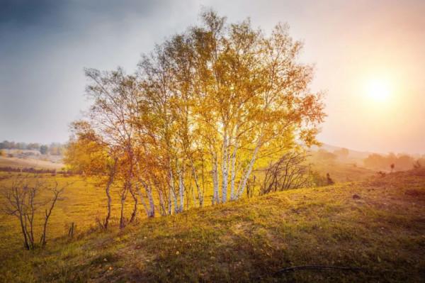 秋天最美的10個瞬間，風清露白，桂子飄香，醉了人間
