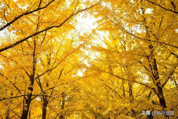 如果沒有疫情，此刻我勸你一定要去一趟北京...