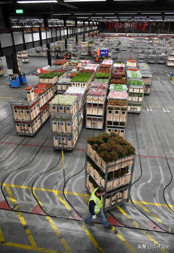 阿姆斯特丹現狀,一起看看真實的阿姆斯特丹 阿姆斯特丹現狀,一起看看真實的阿姆斯特丹