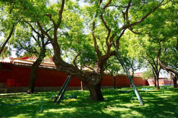 北京一低調公園,坐落朝陽區遊客數量卻很少,滿園花香惹人喜愛 北京一低調公園,坐落朝陽區遊客數量卻很少,滿園花香惹人喜愛