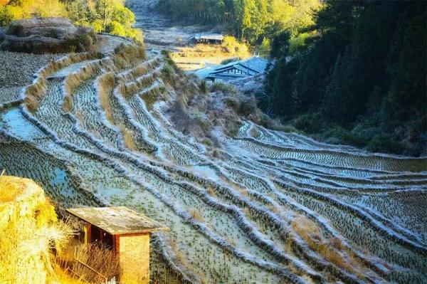 濃濃鄉村情，不捨三農人