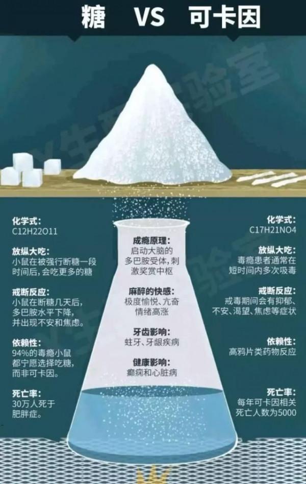 低碳飲食清單，照吃就能瘦