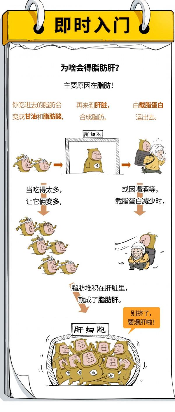 注意！瘦子也會得脂肪肝！