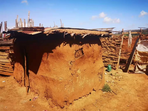 一個駐外女生和馬賽人的故事